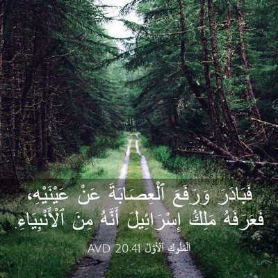 Picture 03 - اَلْمُلُوكِ ٱلْأَوَّلُ 20:41 AVD - فَبَادَرَ وَرَفَعَ - Bible Verse Picture