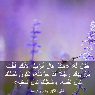 Picture 03 - اَلْمُلُوكِ ٱلْأَوَّلُ 20:42 AVD - فَقَالَ لَهُ: «هَكَذَا - Bible Verse Picture