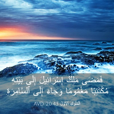 Picture 03 - اَلْمُلُوكِ ٱلْأَوَّلُ 20:43 AVD - فَمَضَى مَلِكُ - Bible Verse Picture