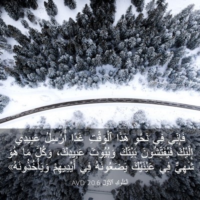 Picture 03 - اَلْمُلُوكِ ٱلْأَوَّلُ 20:6 AVD - فَإِنِّي فِي نَحْوِ هَذَا - Bible Verse Picture