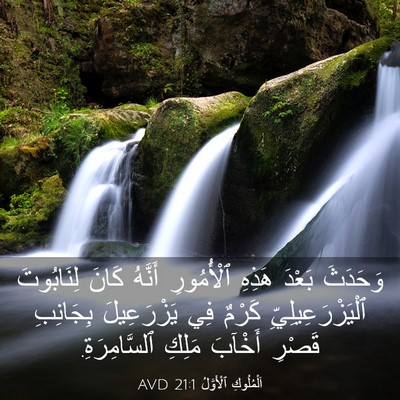 Picture 03 - اَلْمُلُوكِ ٱلْأَوَّلُ 21:1 AVD - وَحَدَثَ بَعْدَ هَذِهِ - Bible Verse Picture