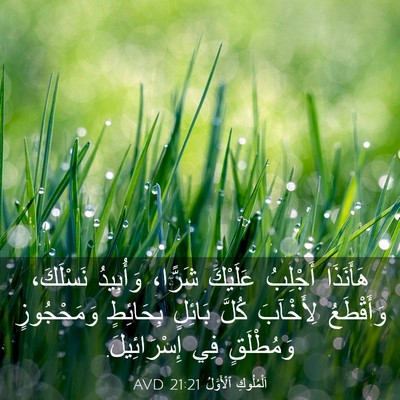 Picture 03 - اَلْمُلُوكِ ٱلْأَوَّلُ 21:21 AVD - هَأَنَذَا أَجْلِبُ - Bible Verse Picture