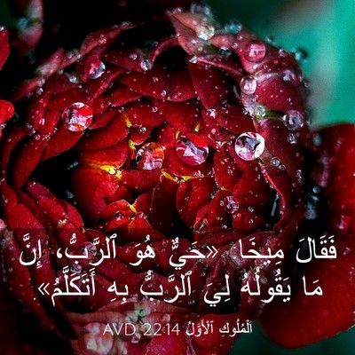 Picture 03 - اَلْمُلُوكِ ٱلْأَوَّلُ 22:14 AVD - فَقَالَ مِيخَا: «حَيٌّ - Bible Verse Picture