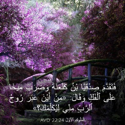 Picture 03 - اَلْمُلُوكِ ٱلْأَوَّلُ 22:24 AVD - فَتَقَدَّمَ صِدْقِيَّا - Bible Verse Picture