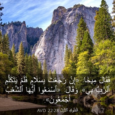 Picture 03 - اَلْمُلُوكِ ٱلْأَوَّلُ 22:28 AVD - فَقَالَ مِيخَا: «إِنْ - Bible Verse Picture