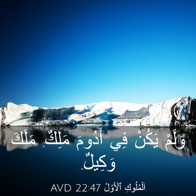 Picture 03 - اَلْمُلُوكِ ٱلْأَوَّلُ 22:47 AVD - وَلَمْ يَكُنْ فِي أَدُومَ - Bible Verse Picture