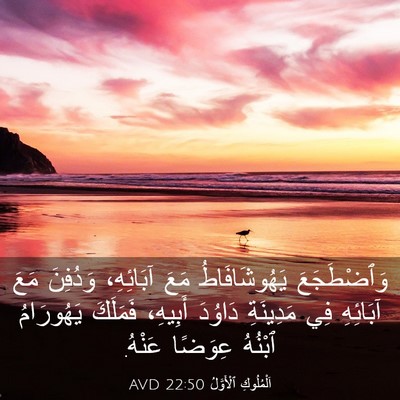 Picture 03 - اَلْمُلُوكِ ٱلْأَوَّلُ 22:50 AVD - وَٱضْطَجَعَ يَهُوشَافَاطُ - Bible Verse Picture