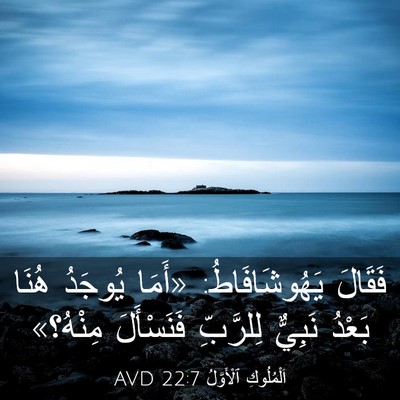 Picture 03 - اَلْمُلُوكِ ٱلْأَوَّلُ 22:7 AVD - فَقَالَ يَهُوشَافَاطُ: - Bible Verse Picture