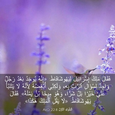 Picture 03 - اَلْمُلُوكِ ٱلْأَوَّلُ 22:8 AVD - فَقَالَ مَلِكُ - Bible Verse Picture