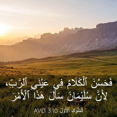 Picture 03 - اَلْمُلُوكِ ٱلْأَوَّلُ 3:10 AVD - فَحَسُنَ ٱلْكَلَامُ فِي - Bible Verse Picture