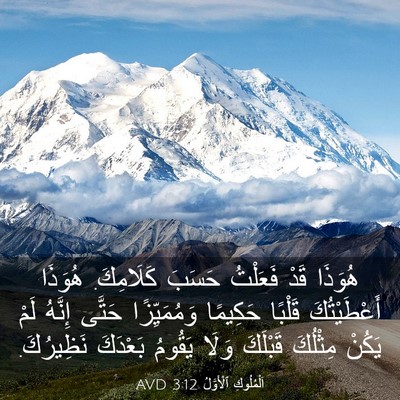 Picture 03 - اَلْمُلُوكِ ٱلْأَوَّلُ 3:12 AVD - هُوَذَا قَدْ فَعَلْتُ - Bible Verse Picture