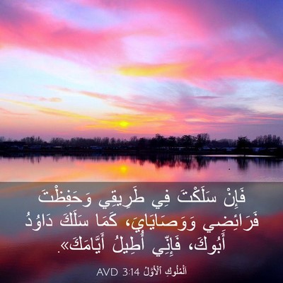 Picture 03 - اَلْمُلُوكِ ٱلْأَوَّلُ 3:14 AVD - فَإِنْ سَلَكْتَ فِي - Bible Verse Picture