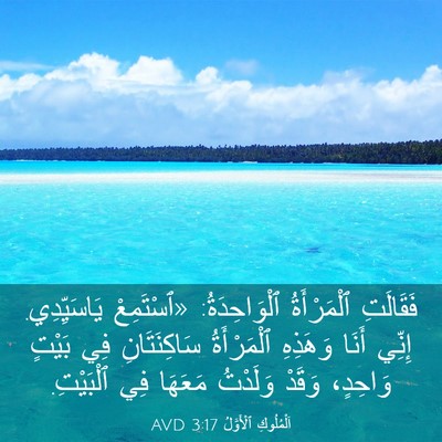Picture 03 - اَلْمُلُوكِ ٱلْأَوَّلُ 3:17 AVD - فَقَالَتِ ٱلْمَرْأَةُ - Bible Verse Picture