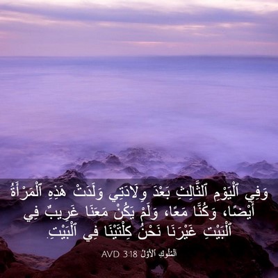 Picture 03 - اَلْمُلُوكِ ٱلْأَوَّلُ 3:18 AVD - وَفِي ٱلْيَوْمِ - Bible Verse Picture