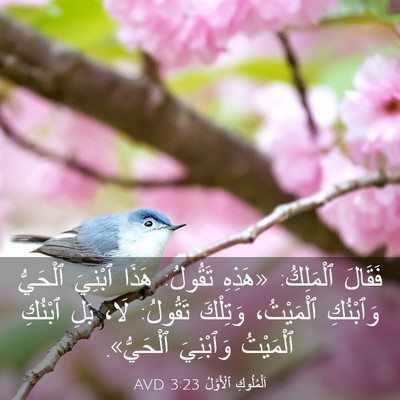 Picture 03 - اَلْمُلُوكِ ٱلْأَوَّلُ 3:23 AVD - فَقَالَ ٱلْمَلِكُ: «هَذِهِ - Bible Verse Picture