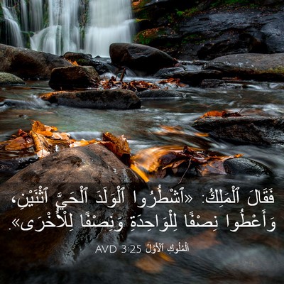 Picture 03 - اَلْمُلُوكِ ٱلْأَوَّلُ 3:25 AVD - فَقَالَ ٱلْمَلِكُ: - Bible Verse Picture