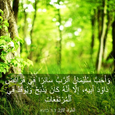 Picture 03 - اَلْمُلُوكِ ٱلْأَوَّلُ 3:3 AVD - وَأَحَبَّ سُلَيْمَانُ - Bible Verse Picture