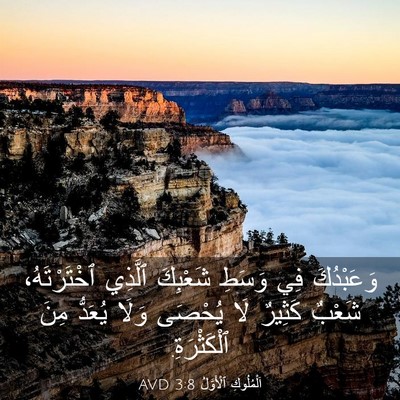 Picture 03 - اَلْمُلُوكِ ٱلْأَوَّلُ 3:8 AVD - وَعَبْدُكَ فِي وَسَطِ - Bible Verse Picture