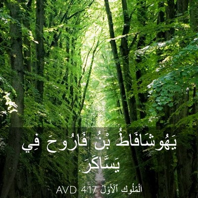Picture 03 - اَلْمُلُوكِ ٱلْأَوَّلُ 4:17 AVD - يَهُوشَافَاطُ بْنُ - Bible Verse Picture
