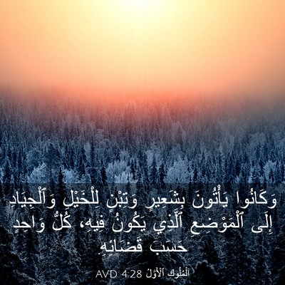 Picture 03 - اَلْمُلُوكِ ٱلْأَوَّلُ 4:28 AVD - وَكَانُوا يَأْتُونَ - Bible Verse Picture