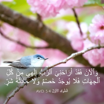 Picture 03 - اَلْمُلُوكِ ٱلْأَوَّلُ 5:4 AVD - وَٱلْآنَ فَقَدْ - Bible Verse Picture