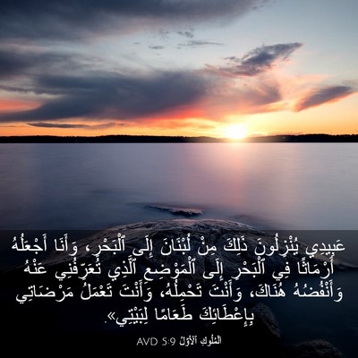 Picture 03 - اَلْمُلُوكِ ٱلْأَوَّلُ 5:9 AVD - عَبِيدِي يُنْزِلُونَ - Bible Verse Picture