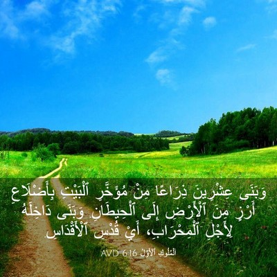 Picture 03 - اَلْمُلُوكِ ٱلْأَوَّلُ 6:16 AVD - وَبَنَى عِشْرِينَ - Bible Verse Picture