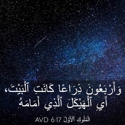 Picture 03 - اَلْمُلُوكِ ٱلْأَوَّلُ 6:17 AVD - وَأَرْبَعُونَ ذِرَاعًا - Bible Verse Picture