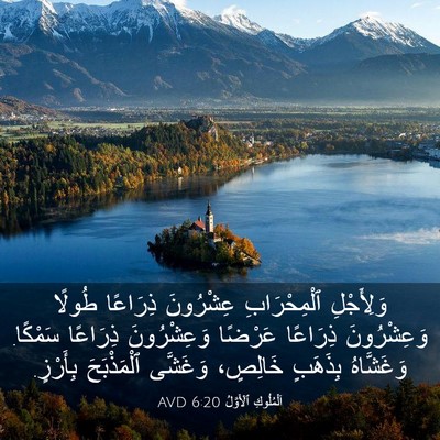 Picture 03 - اَلْمُلُوكِ ٱلْأَوَّلُ 6:20 AVD - وَلِأَجْلِ ٱلْمِحْرَابِ - Bible Verse Picture