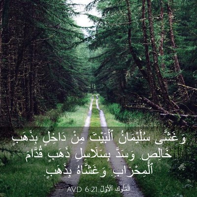 Picture 03 - اَلْمُلُوكِ ٱلْأَوَّلُ 6:21 AVD - وَغَشَّى سُلَيْمَانُ - Bible Verse Picture
