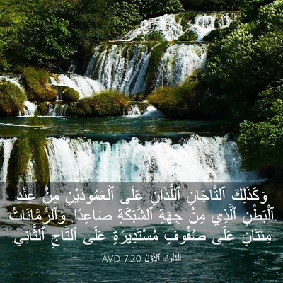 Picture 03 - اَلْمُلُوكِ ٱلْأَوَّلُ 7:20 AVD - وَكَذَلِكَ ٱلتَّاجَانِ - Bible Verse Picture