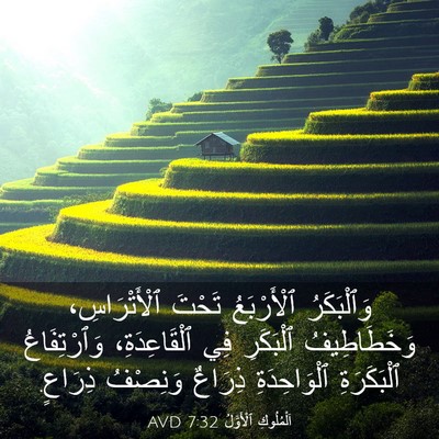 Picture 03 - اَلْمُلُوكِ ٱلْأَوَّلُ 7:32 AVD - وَٱلْبَكَرُ ٱلْأَرْبَعُ - Bible Verse Picture