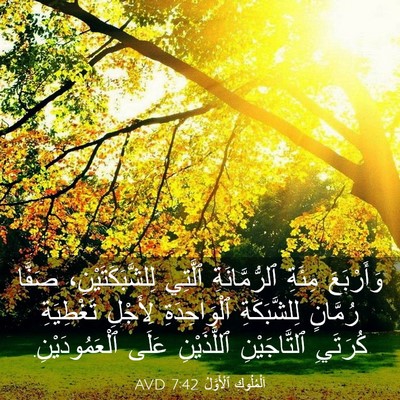 Picture 03 - اَلْمُلُوكِ ٱلْأَوَّلُ 7:42 AVD - وَأَرْبَعَ مِئَةِ - Bible Verse Picture