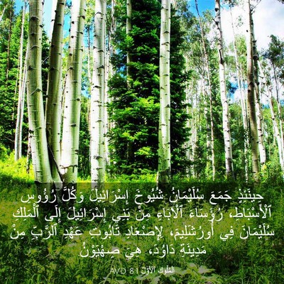 Picture 03 - اَلْمُلُوكِ ٱلْأَوَّلُ 8:1 AVD - حِينَئِذٍ جَمَعَ - Bible Verse Picture