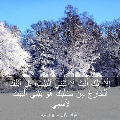 Picture 03 - اَلْمُلُوكِ ٱلْأَوَّلُ 8:19 AVD - إِلَّا إِنَّكَ أَنْتَ لَا - Bible Verse Picture