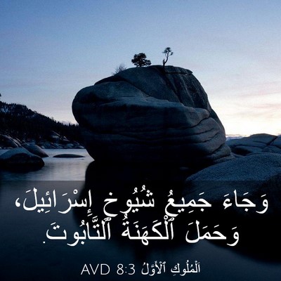 Picture 03 - اَلْمُلُوكِ ٱلْأَوَّلُ 8:3 AVD - وَجَاءَ جَمِيعُ شُيُوخِ - Bible Verse Picture