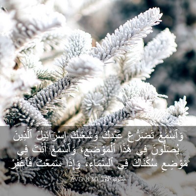 Picture 03 - اَلْمُلُوكِ ٱلْأَوَّلُ 8:30 AVD - وَٱسْمَعْ تَضَرُّعَ - Bible Verse Picture