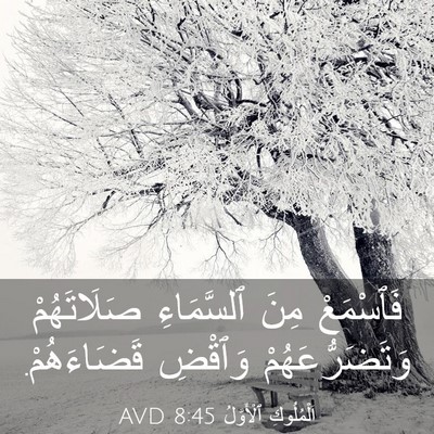Picture 03 - اَلْمُلُوكِ ٱلْأَوَّلُ 8:45 AVD - فَٱسْمَعْ مِنَ ٱلسَّمَاءِ - Bible Verse Picture
