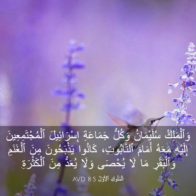 Picture 03 - اَلْمُلُوكِ ٱلْأَوَّلُ 8:5 AVD - وَٱلْمَلِكُ سُلَيْمَانُ - Bible Verse Picture