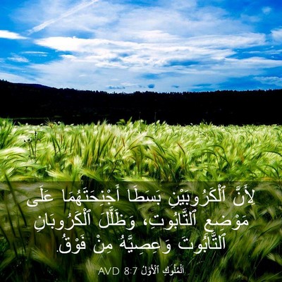 Picture 03 - اَلْمُلُوكِ ٱلْأَوَّلُ 8:7 AVD - لِأَنَّ ٱلْكَرُوبَيْنِ - Bible Verse Picture