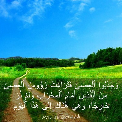 Picture 03 - اَلْمُلُوكِ ٱلْأَوَّلُ 8:8 AVD - وَجَذَبُوا ٱلْعِصِيَّ - Bible Verse Picture