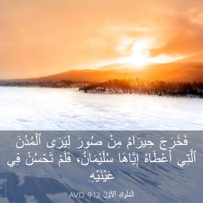 Picture 03 - اَلْمُلُوكِ ٱلْأَوَّلُ 9:12 AVD - فَخَرَجَ حِيرَامُ مِنْ - Bible Verse Picture