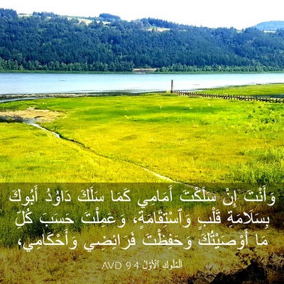 Picture 03 - اَلْمُلُوكِ ٱلْأَوَّلُ 9:4 AVD - وَأَنْتَ إِنْ سَلَكْتَ - Bible Verse Picture