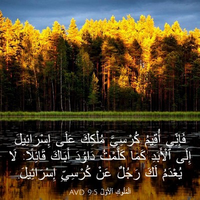Picture 03 - اَلْمُلُوكِ ٱلْأَوَّلُ 9:5 AVD - فَإِنِّي أُقِيمُ - Bible Verse Picture