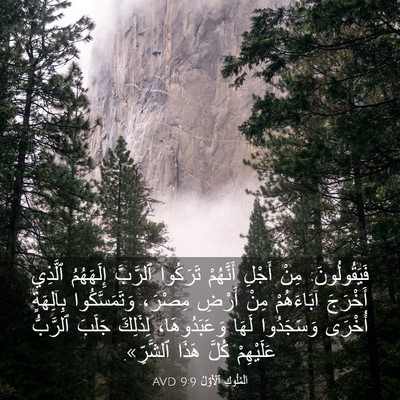 Picture 03 - اَلْمُلُوكِ ٱلْأَوَّلُ 9:9 AVD - فَيَقُولُونَ: مِنْ أَجْلِ - Bible Verse Picture