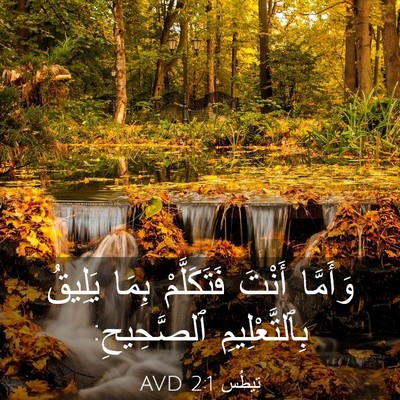 Picture 03 - تِيطُس 2:1 AVD - وَأَمَّا أَنْتَ - Bible Verse Picture
