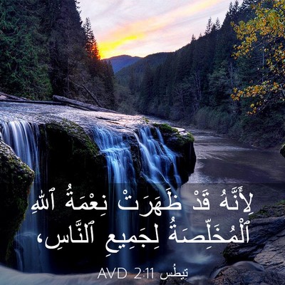 Picture 03 - تِيطُس 2:11 AVD - لِأَنَّهُ قَدْ ظَهَرَتْ - Bible Verse Picture