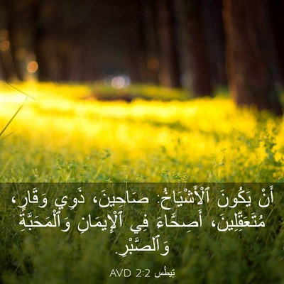 Picture 03 - تِيطُس 2:2 AVD - أَنْ يَكُونَ ٱلْأَشْيَاخُ: - Bible Verse Picture