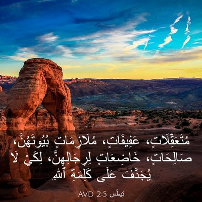 Picture 03 - تِيطُس 2:5 AVD - مُتَعَقِّلَاتٍ، - Bible Verse Picture