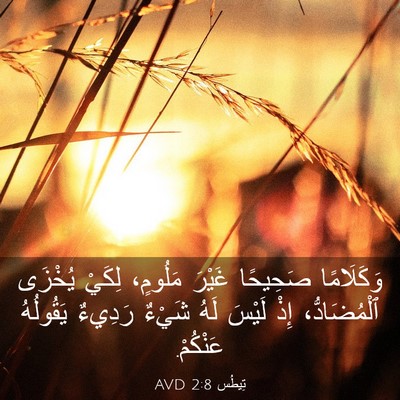 Picture 03 - تِيطُس 2:8 AVD - وَكَلَامًا صَحِيحًا - Bible Verse Picture
